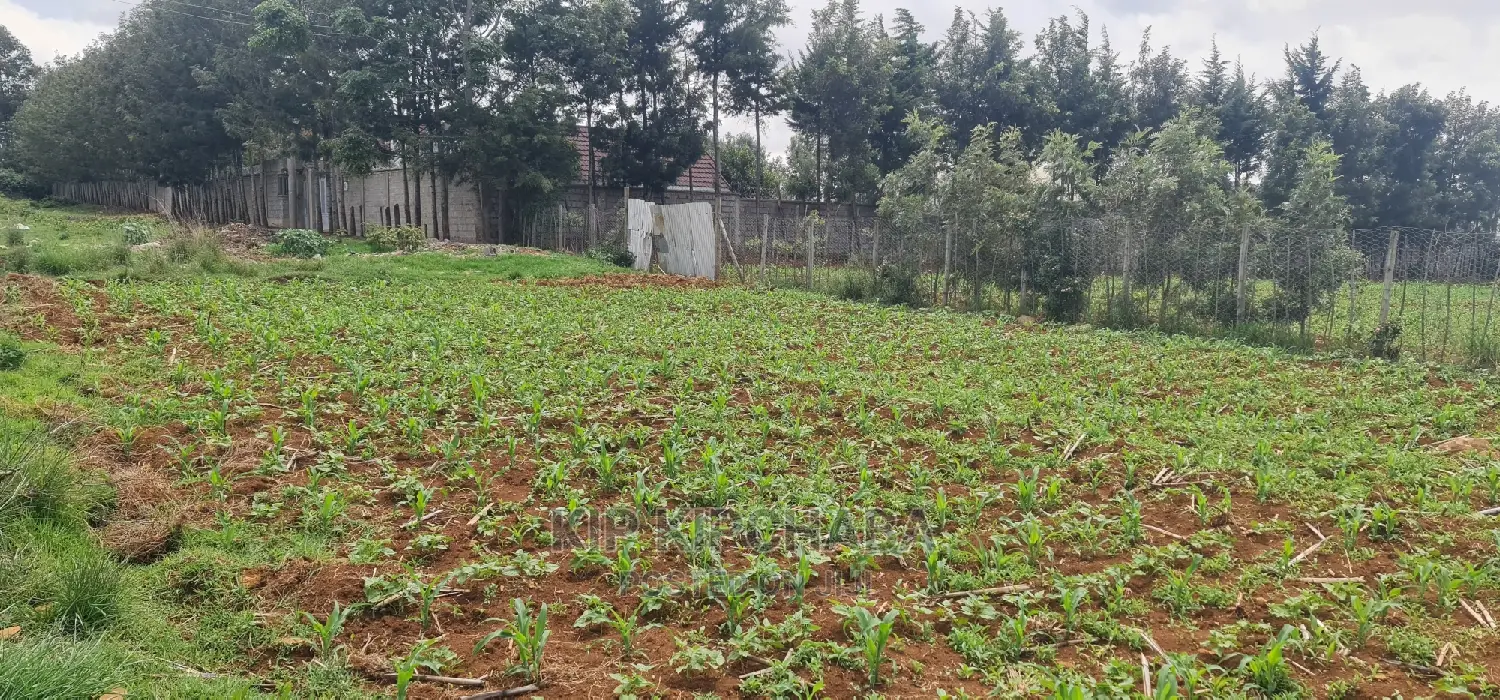 1 Acre Land for Sale in Elgonview Eldoret