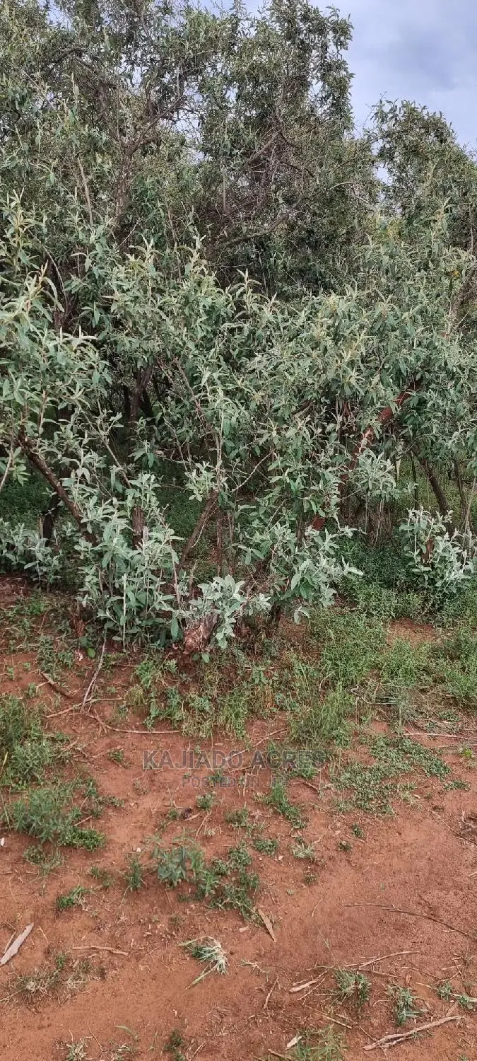 Prime 10 Acres Kimuka Distress Sale at 4m Per Acre