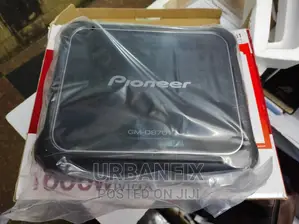 Pioneer Mono Block 1600 Watts