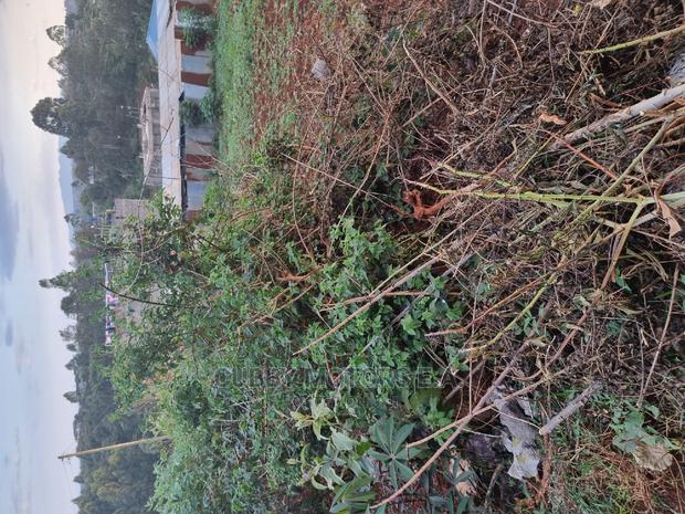 Mountain View Eni Plot 0.25 *2 = 0.5 Acres - thumbnail 8