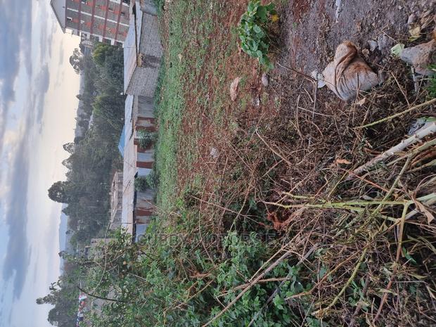 Mountain View Eni Plot 0.25 *2 = 0.5 Acres - thumbnail 9