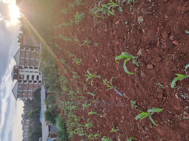 Mountain View Eni Plot 0.25 *2 = 0.5 Acres - thumbnail 11