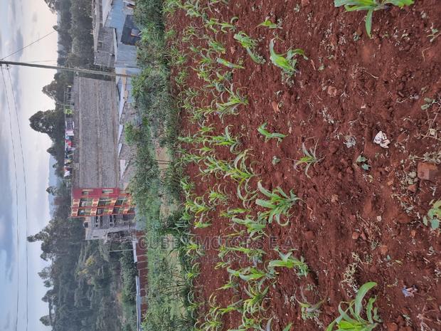 Mountain View Eni Plot 0.25 *2 = 0.5 Acres - thumbnail 12