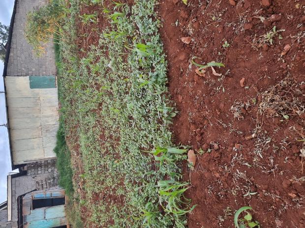 Mountain View Eni Plot 0.25 *2 = 0.5 Acres - thumbnail 13