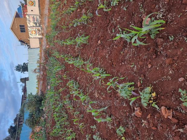 Mountain View Eni Plot 0.25 *2 = 0.5 Acres - thumbnail 14