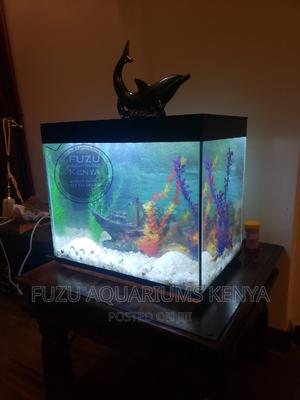 Aquarium Complete With Fish - thumbnail 2