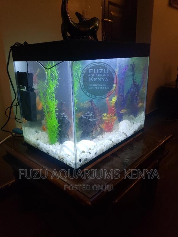 Aquarium Complete With Fish - thumbnail 3