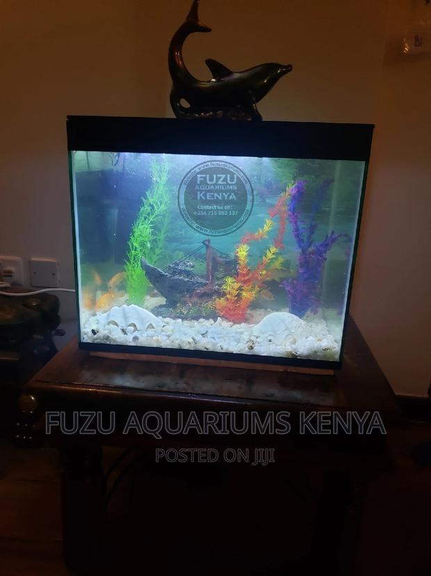 Aquarium Complete With Fish - thumbnail 4