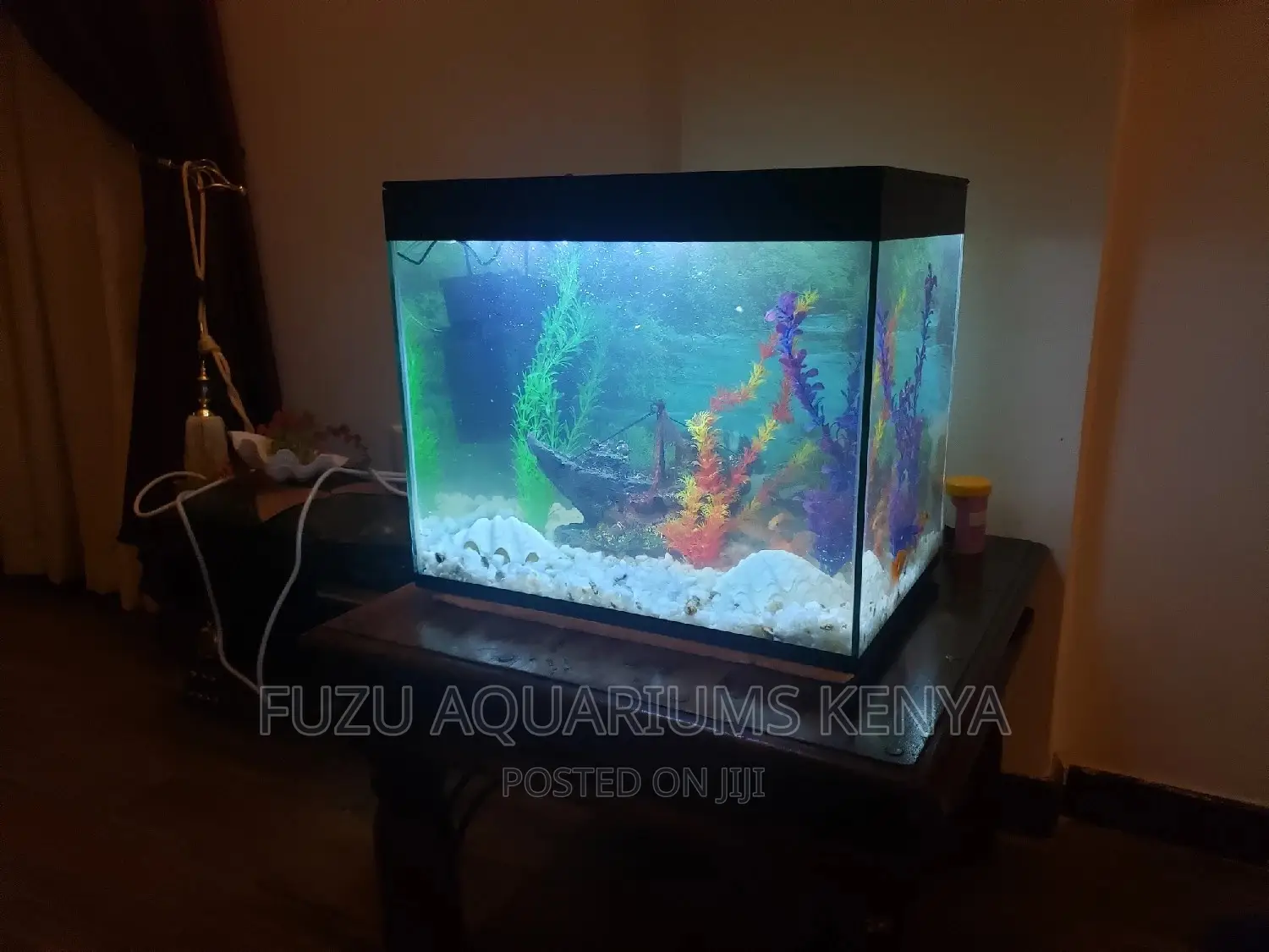 Aquarium Complete Set Up