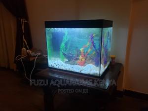 Aquarium Complete Set Up - thumbnail 2