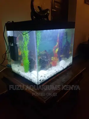 Aquarium Complete Set Up