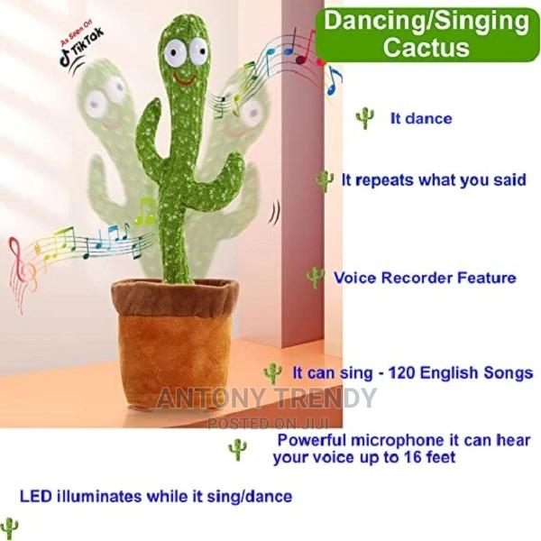 Talking Cactus - main view