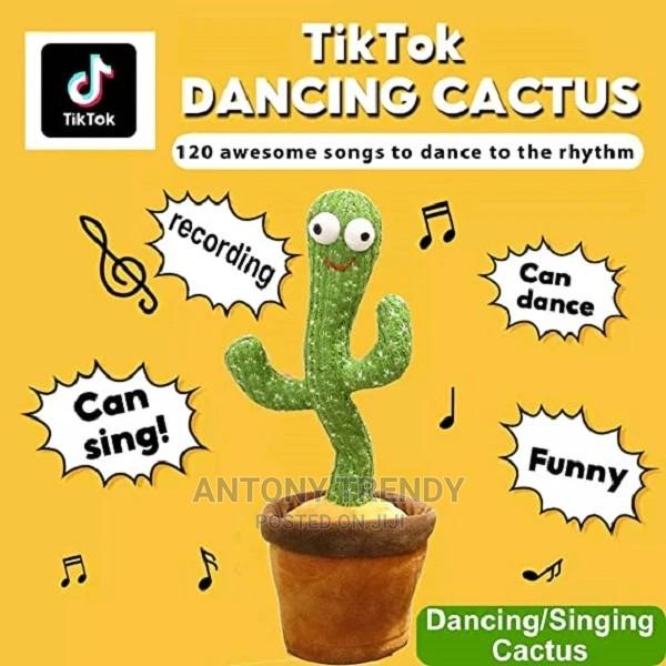 Talking Cactus - main view