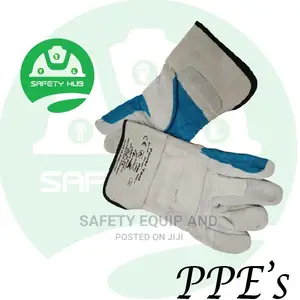 Short Leather Gloves/Stripped Cotton