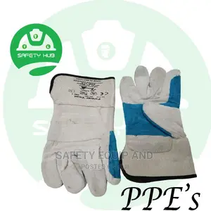 Short Leather Gloves/Stripped Cotton