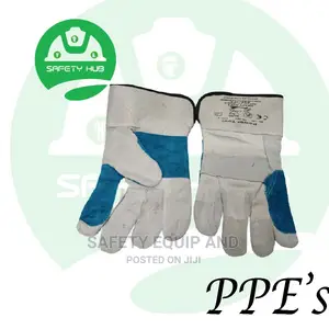 Leather Gloves/Approved