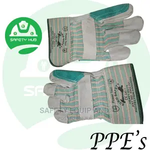 Leather Gloves/Approved