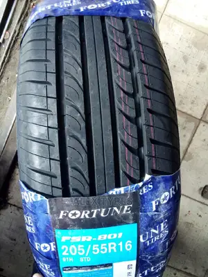 205/55r16 Fortune Tyre Made in China