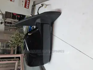 Xtrail Nt30 Side Mirror