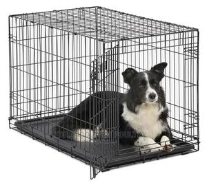 6 Months Puppies Cages - thumbnail 2