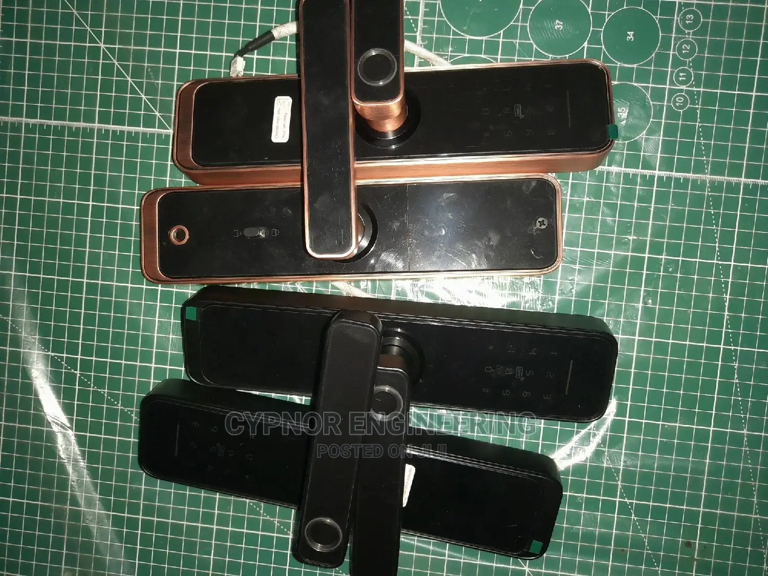 Biometric Door Lock for Hotels