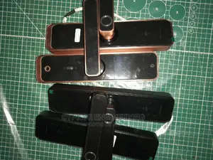 Biometric Hotel Door Locks