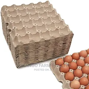 Eggs Cutton Tray