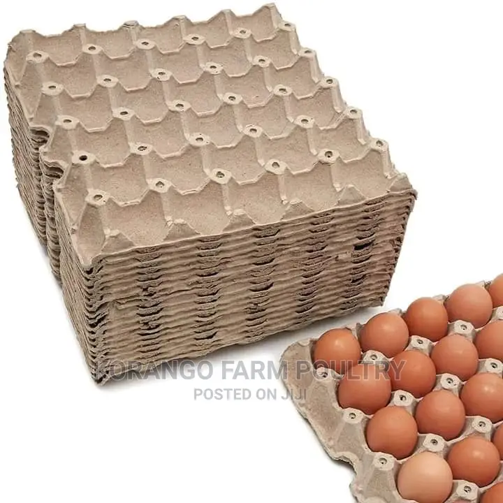 Eggs Cutton Tray