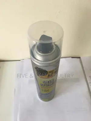 Chroming Spray Paint