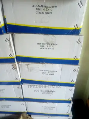 Self Tapping Screws ( 1/2") 200pcs