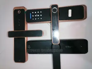Biometric Smart Lock for Stores