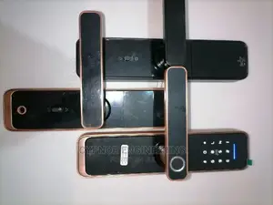 Biometric Smart Lock for Hotels