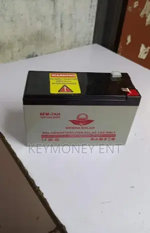 Magnetic Locks Power Supply Battery 12v7ah
