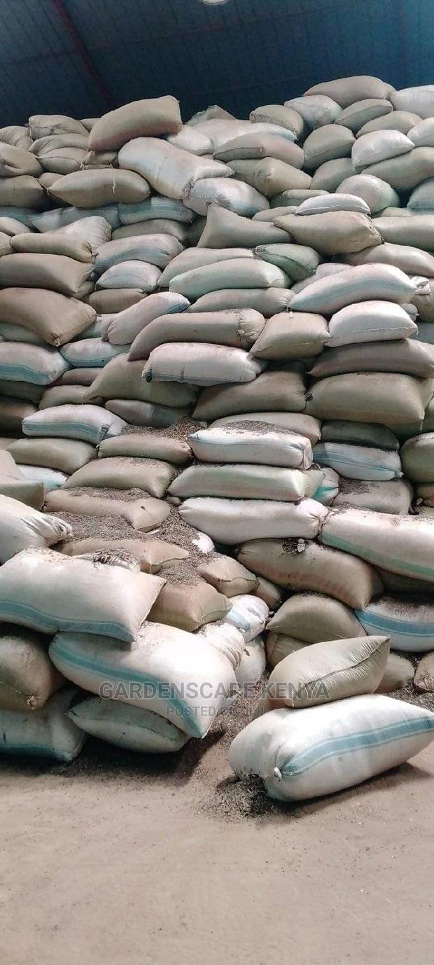 Oil Extraction Sunflower Seeds Per Kg - main view