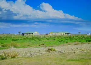 Plots for Sale 50*100 in Nanyuki