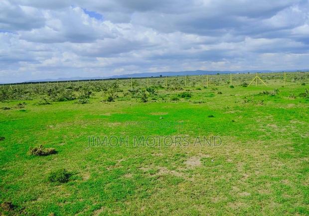 Plots for Sale 50*100 in Nanyuki - thumbnail 9
