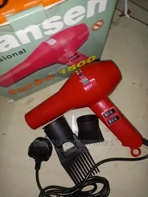Fransen Hair Dryer