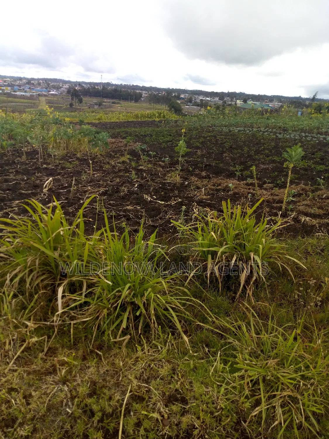 100/100 Plot On Sale At Flyover Kinangop Only 500mtrs From Road