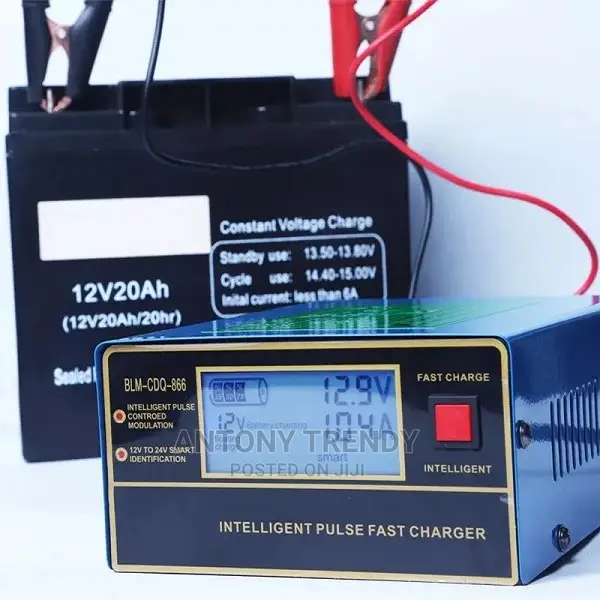 BLM-866 Intelligent Pulse Fast Charger.