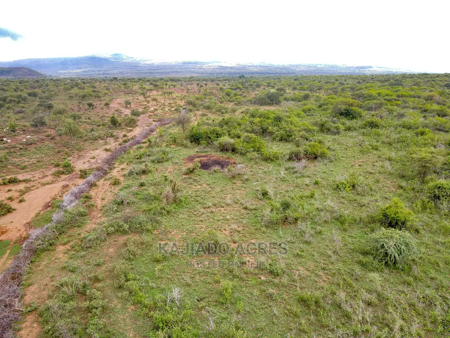16 Acres ,Lentoko at 450k Per Acre