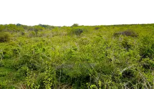 16 Acres ,Lentoko at 450k Per Acre