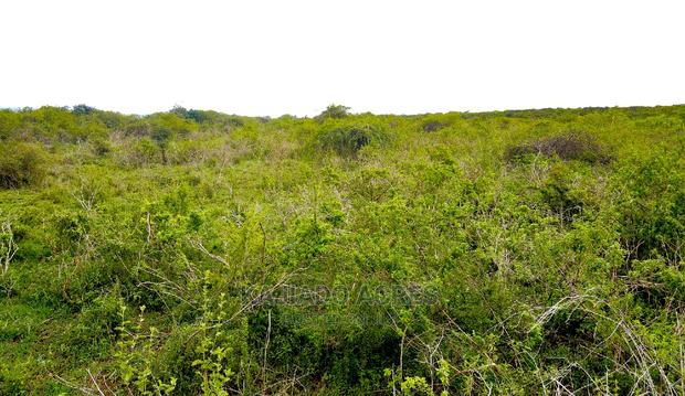 16 Acres ,Lentoko at 450k Per Acre - thumbnail 3