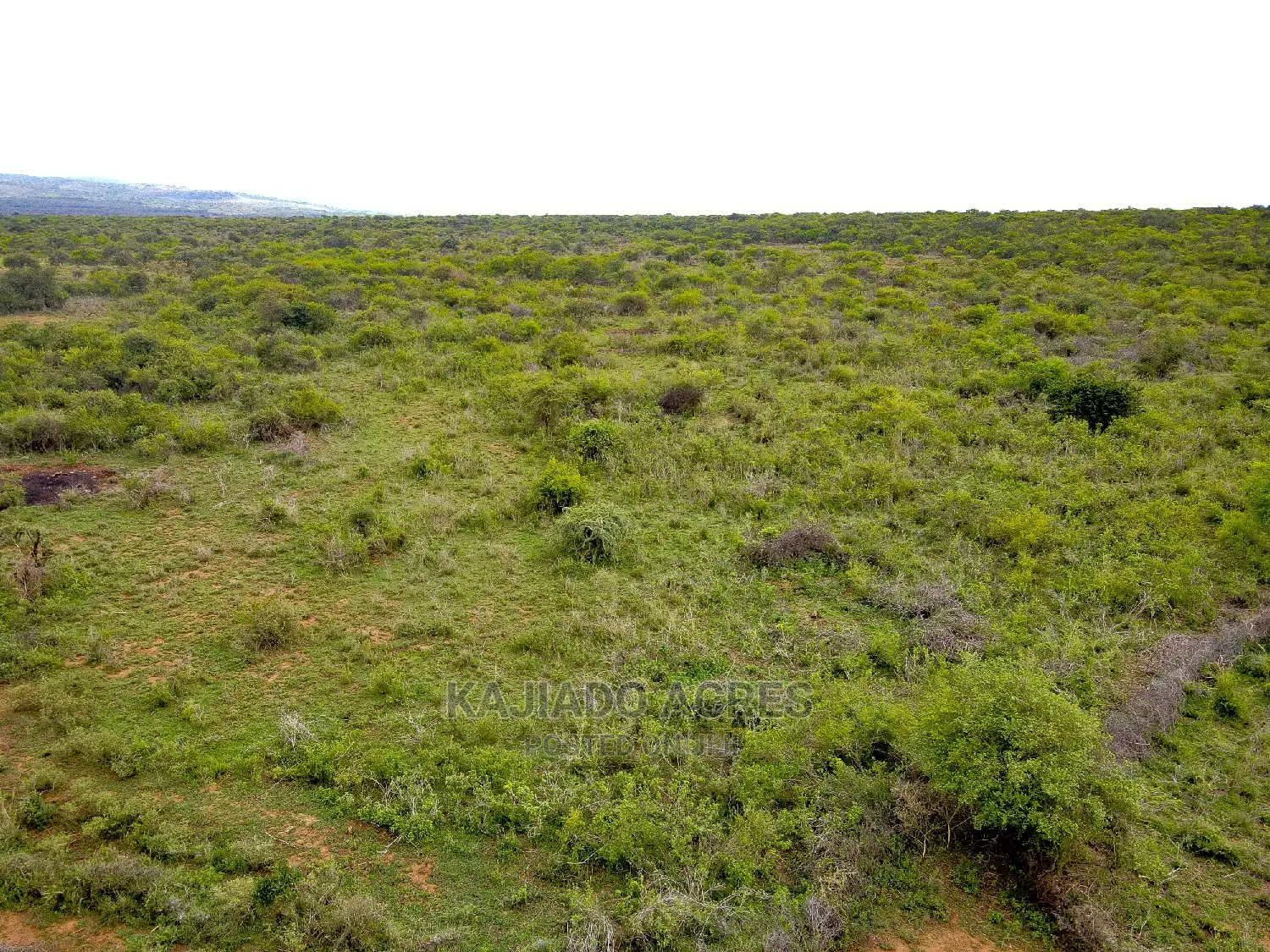 16 Acres ,Lentoko at 450k Per Acre