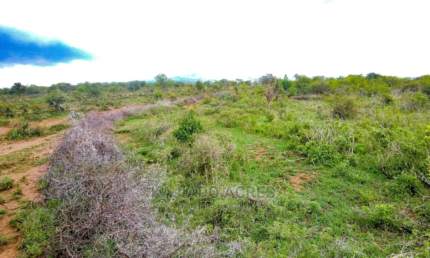 16 Acres ,Lentoko at 450k Per Acre