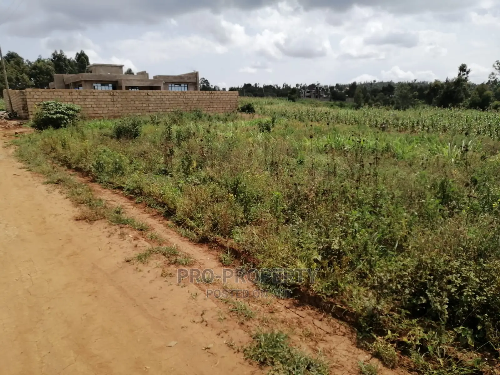 Prime Plot for Sale in Lusigetti.(500 Meters Off Tarmac)