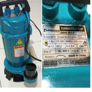 Premier 2 Hp Submersible Pump, 600 L/ Hour