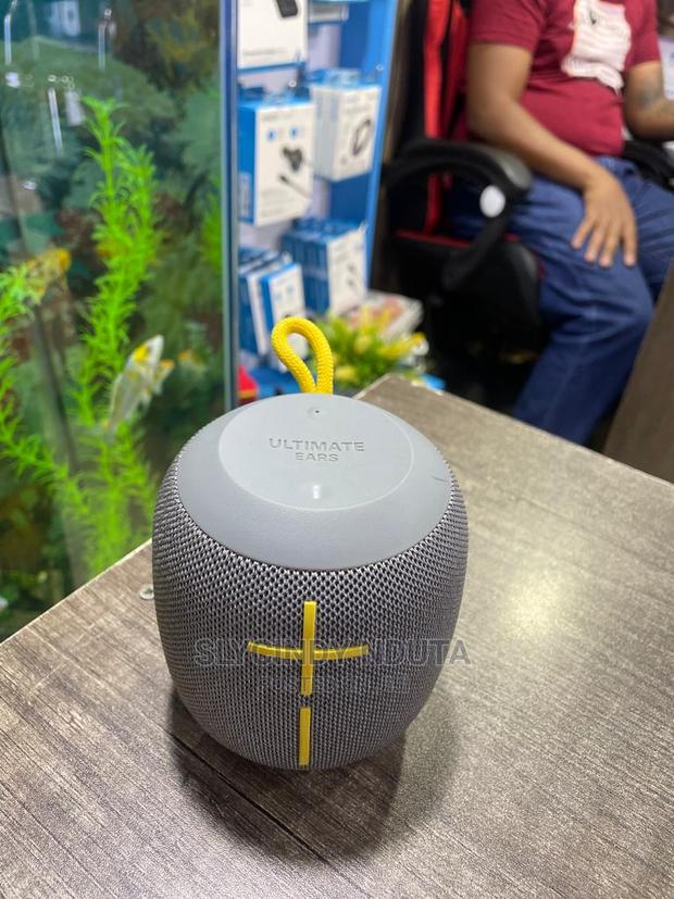 Ultimate Ears Wonderboom 2