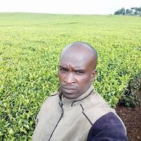 Absolom Ngetich logo
