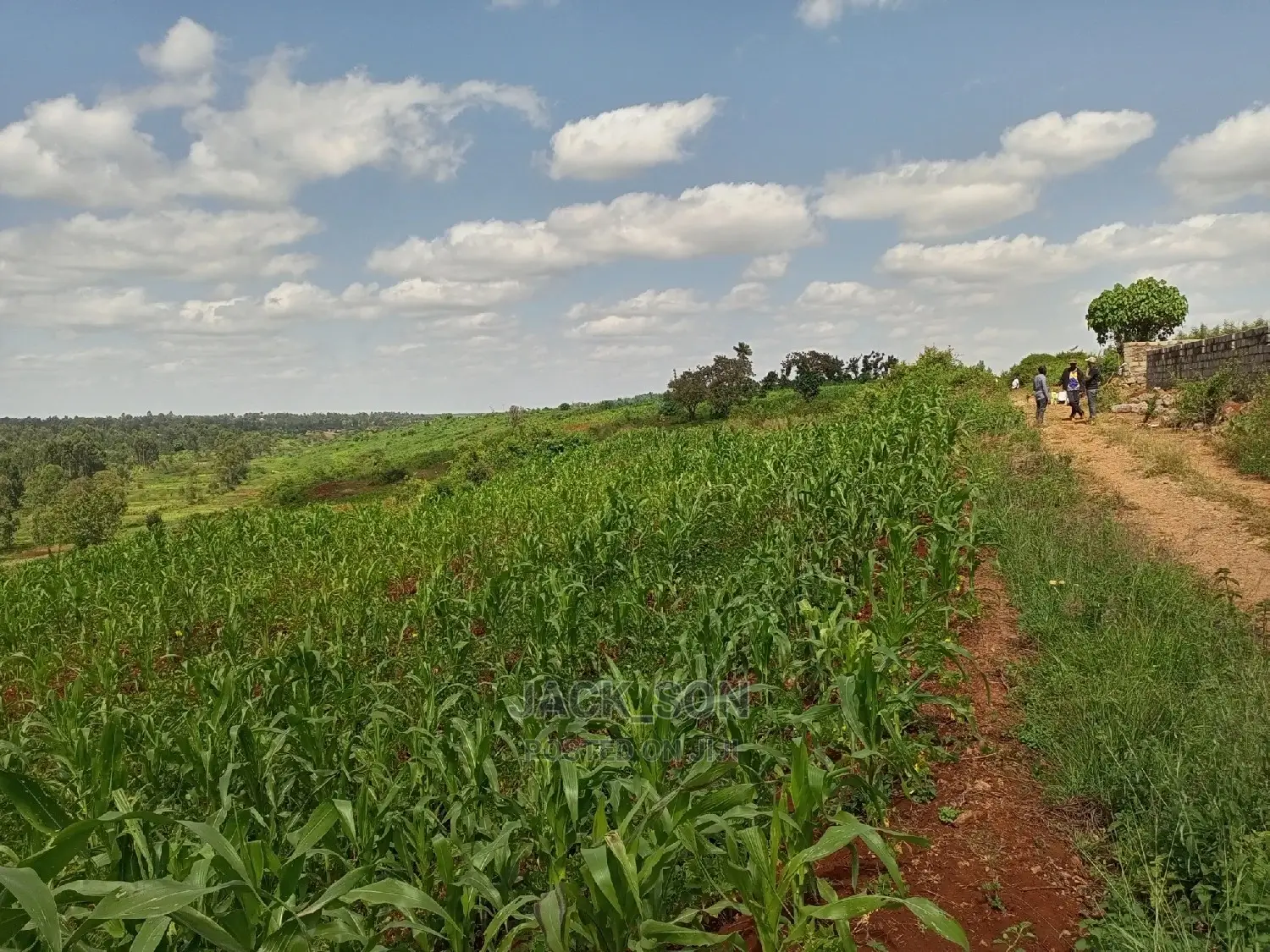 1⁄8plot With Titledeed Kangema Farmland Near Thika Greens