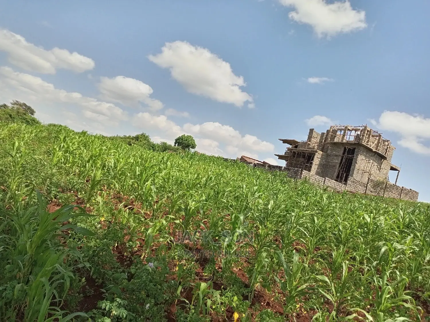 1⁄8plot With Titledeed Kangema Farmland Near Thika Greens